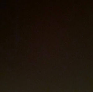 Meet your Posher, Ricky